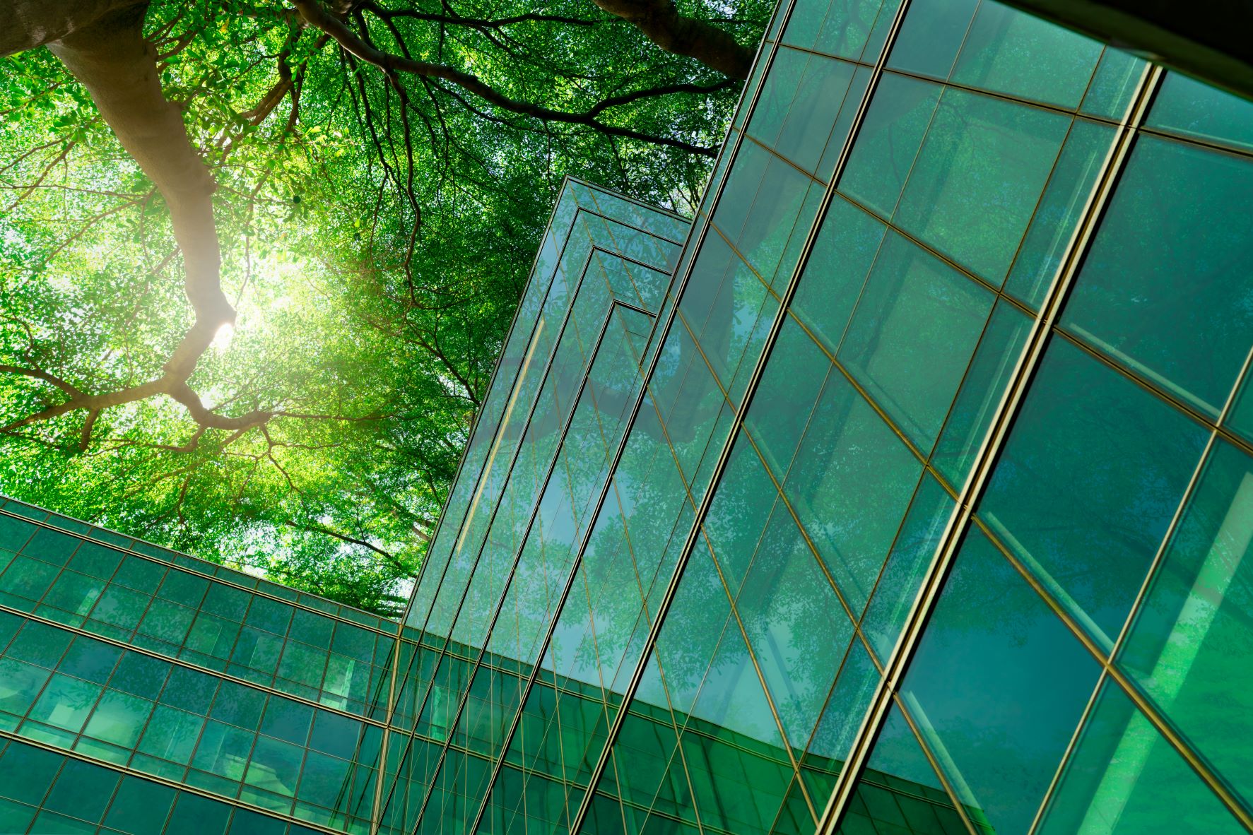 Green building and trees
