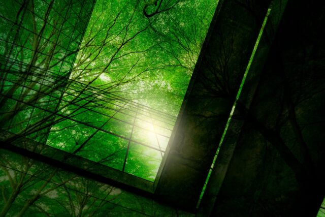 Green building and trees