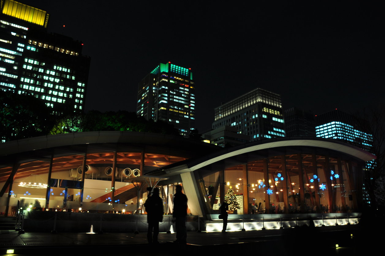Tokyo at night.