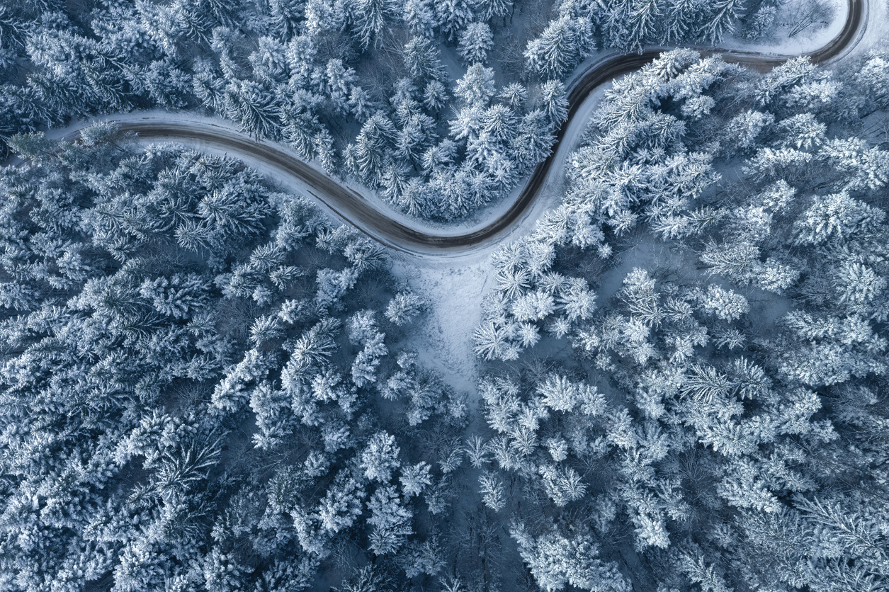 Road Leading Through The Winter Forest