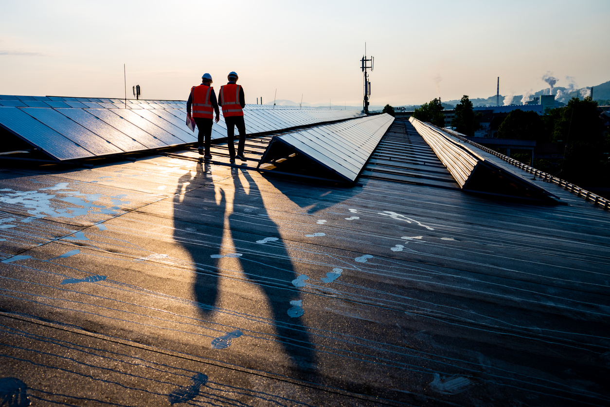 Male engineers walking along rows of photovoltaic panels